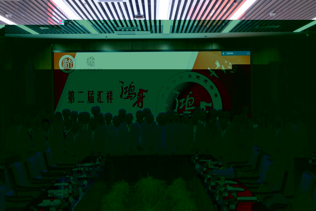 20065